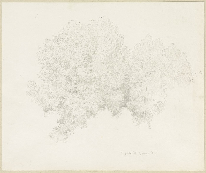 Baumkronen in Salzschlirf von Carl Theodor Reiffenstein