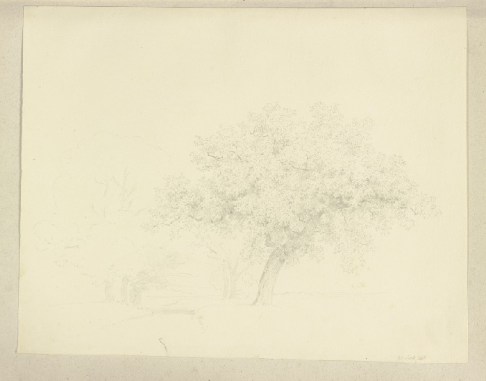 Ein Baum von Carl Theodor Reiffenstein