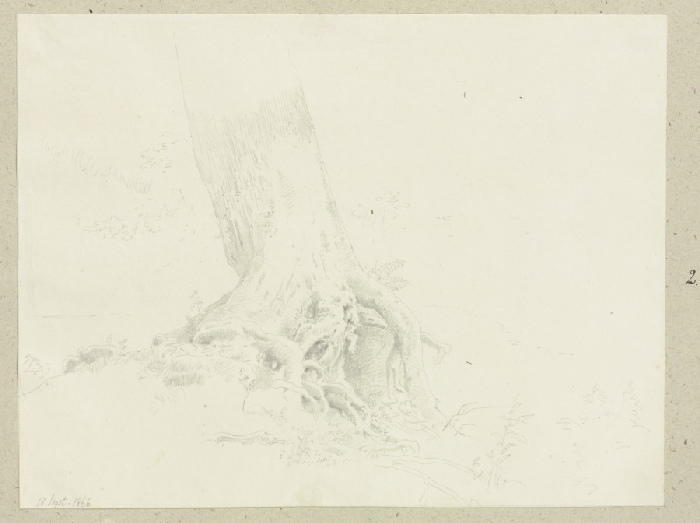 Freiliegendes Wurzelwerk eines Baumes von Carl Theodor Reiffenstein
