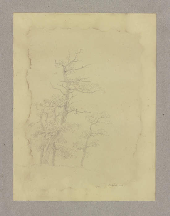 Gruppe kahler Bäume von Carl Theodor Reiffenstein