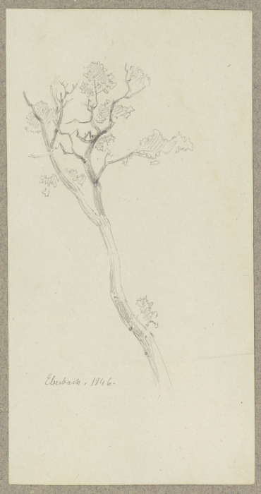 Junger Baum bei Eberbach von Carl Theodor Reiffenstein
