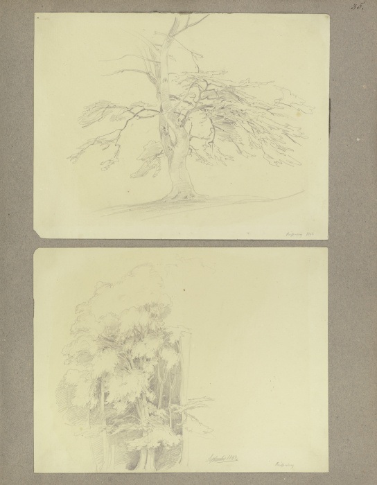 Klebebände, Band 3, Abteilung 3, Seite 35 [187] von Carl Theodor Reiffenstein