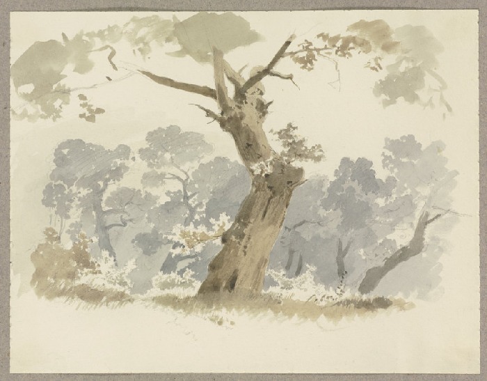 Waldpartie, im Vordergrund ein krumm gewachsener Baum von Carl Theodor Reiffenstein