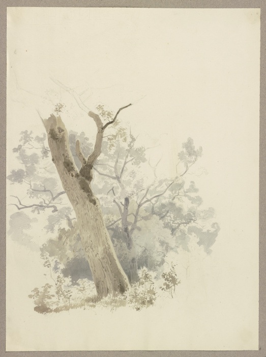 Waldpartie, im Vordergrund ein schief gewachsener Baum von Carl Theodor Reiffenstein