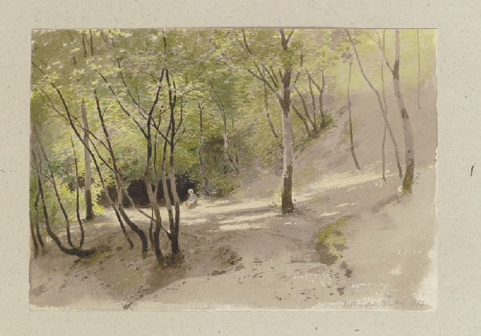 Waldweg bei Falkenstein von Carl Theodor Reiffenstein