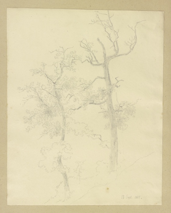 Zwei an einem Hang stehende Bäume von Carl Theodor Reiffenstein