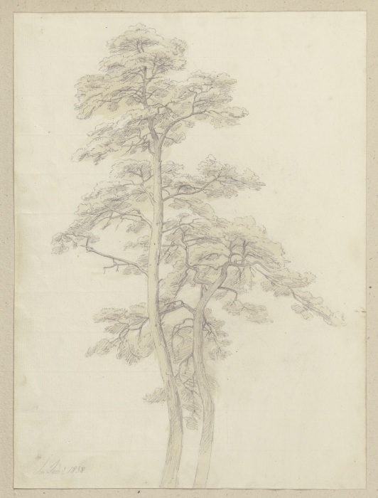 Zwei beieinander stehende Bäume von Carl Theodor Reiffenstein