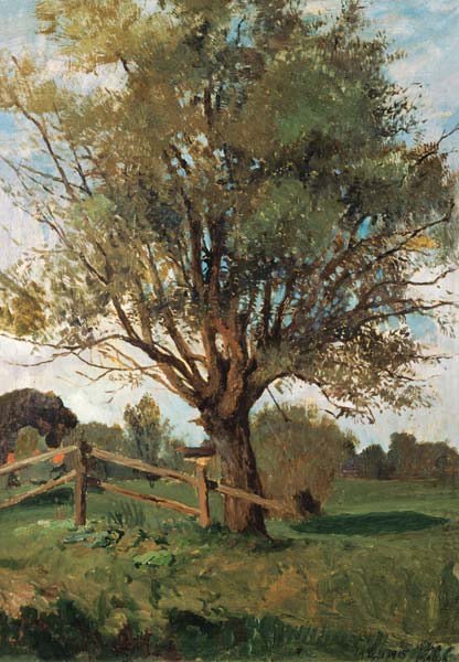 Der alte Baum von Carl Vinnen