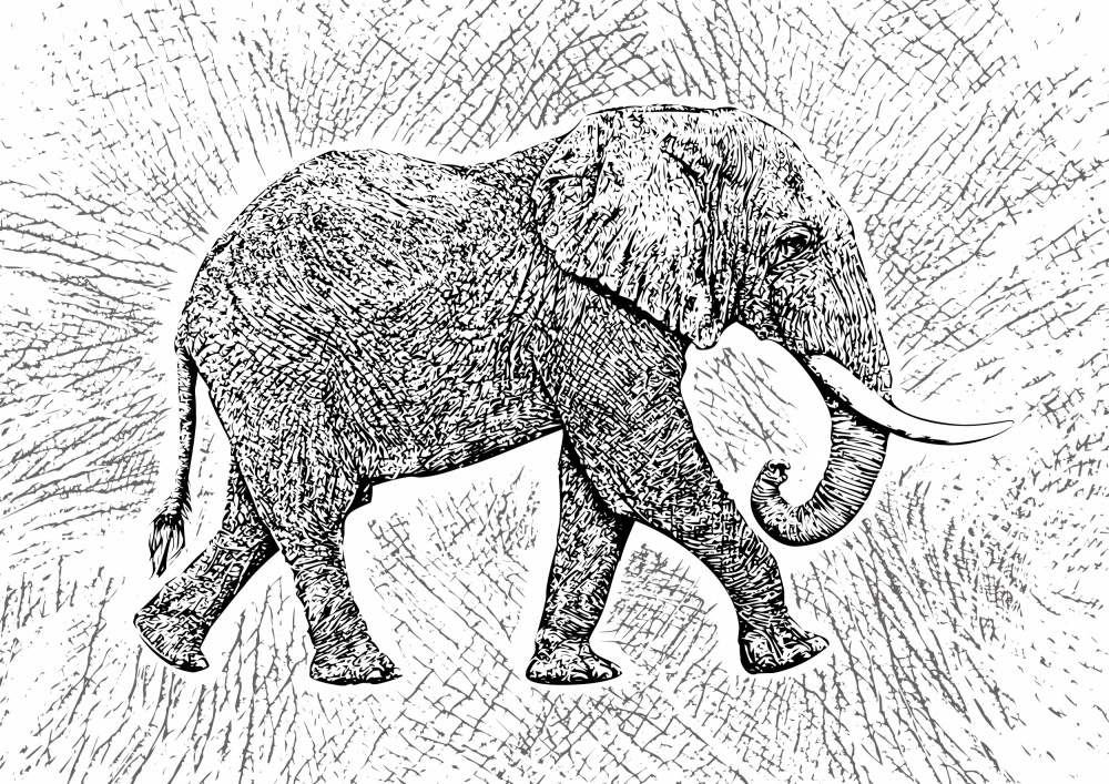 Afrika-Elefant-Texturmuster von Carlo Kaminski