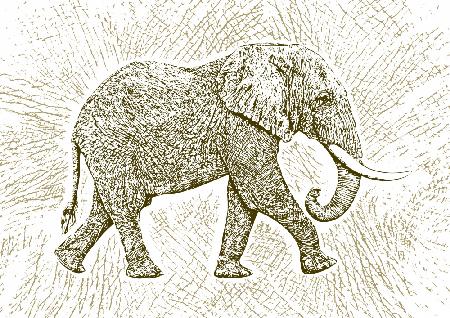 Afrika-Elefant-Texturmuster