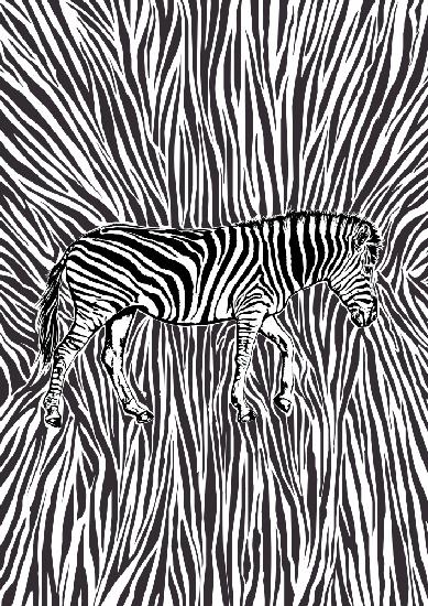 Auffällige Tarnung des afrikanischen Zebras