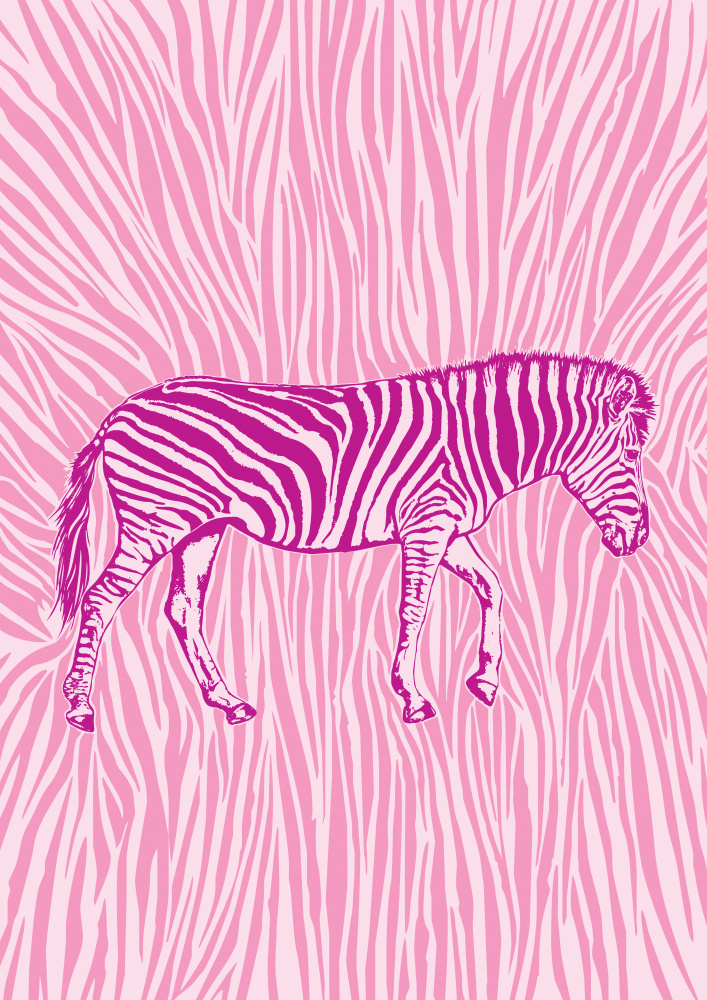 Auffällige Tarnung des afrikanischen Zebras von Carlo Kaminski