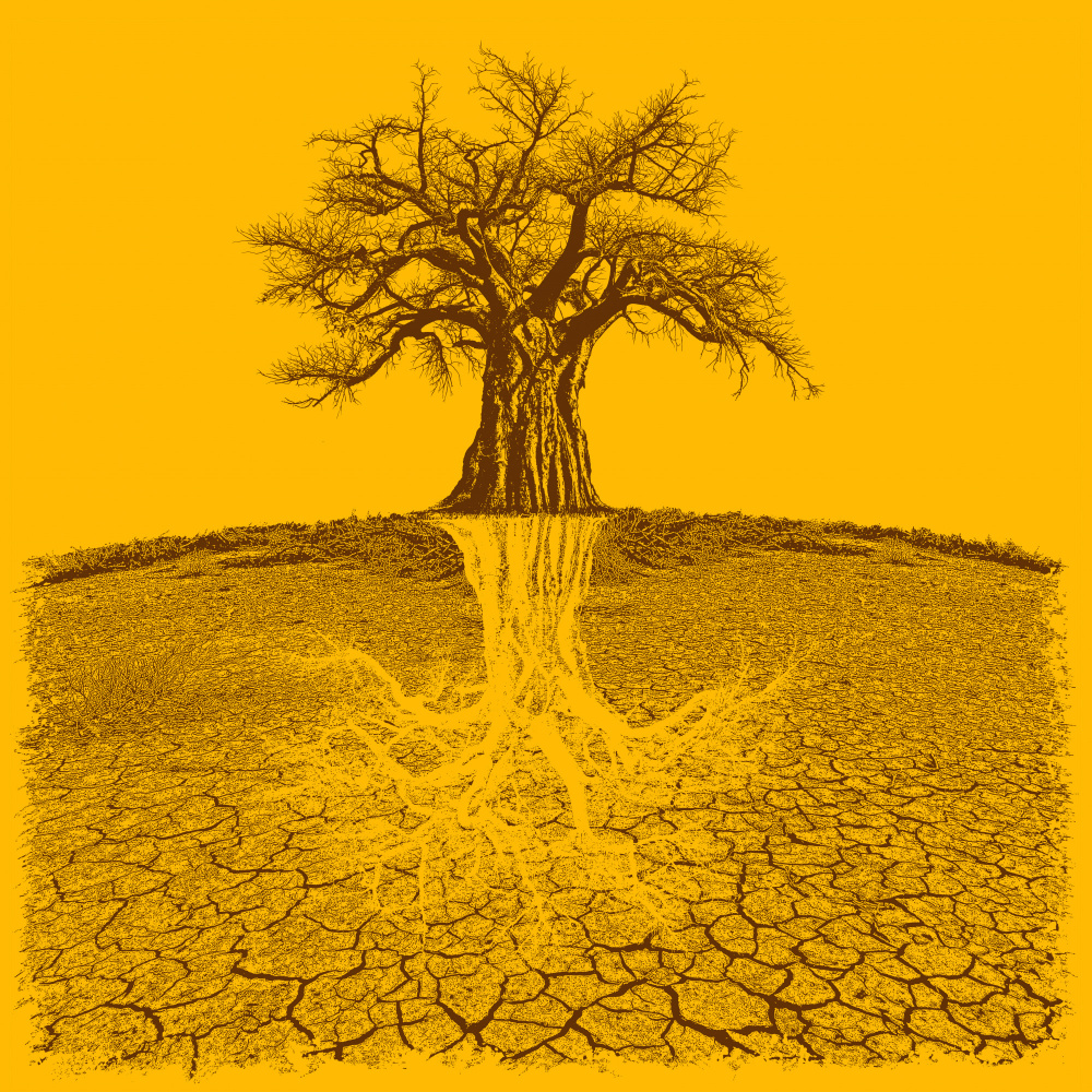 Baobab Mythical Roots Deeper Yellow (h) von Carlo Kaminski