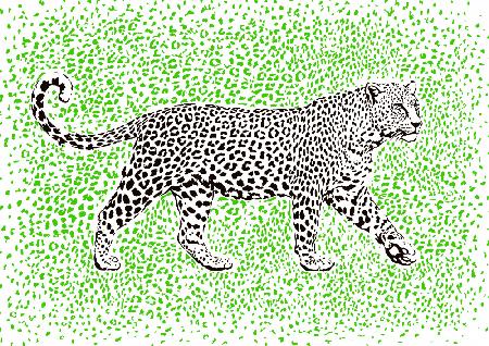 Leoparden-Rosette-Tarnung