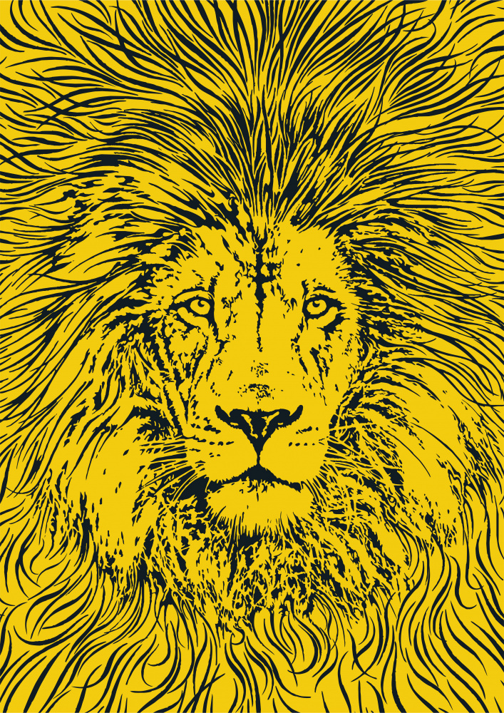 Löwenporträt – König der Tiere von Carlo Kaminski