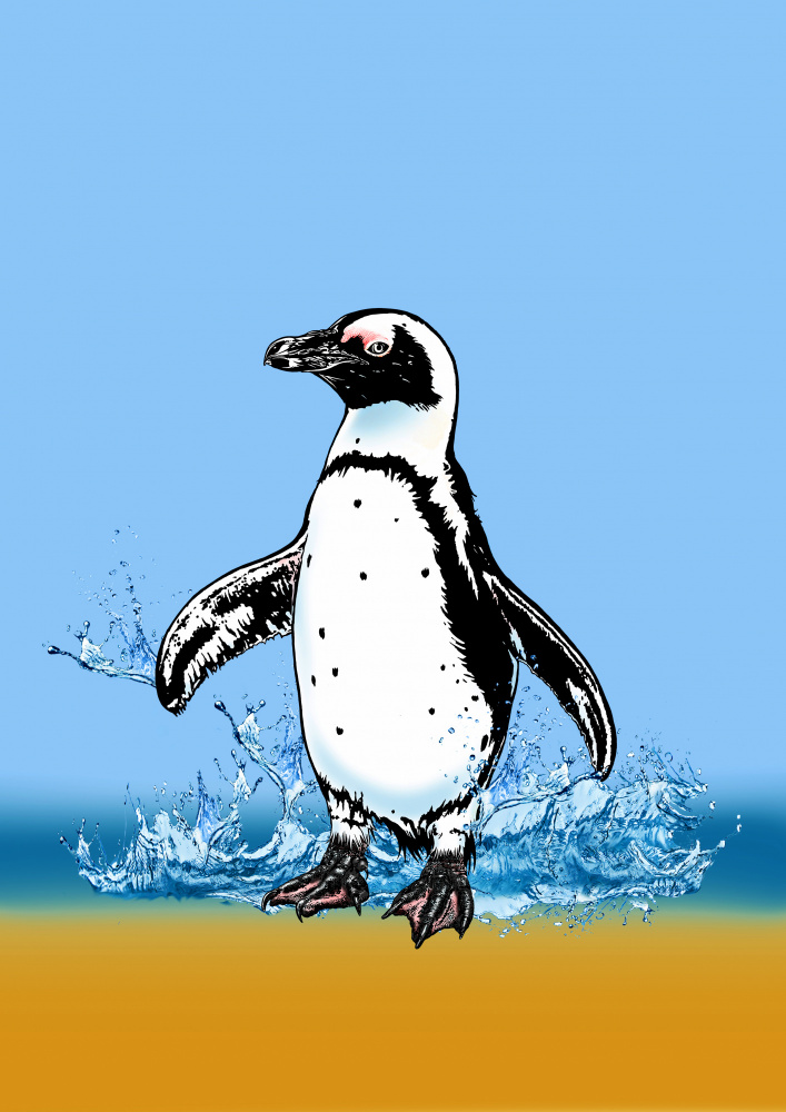 Niedlicher Pinguin planscht von Carlo Kaminski