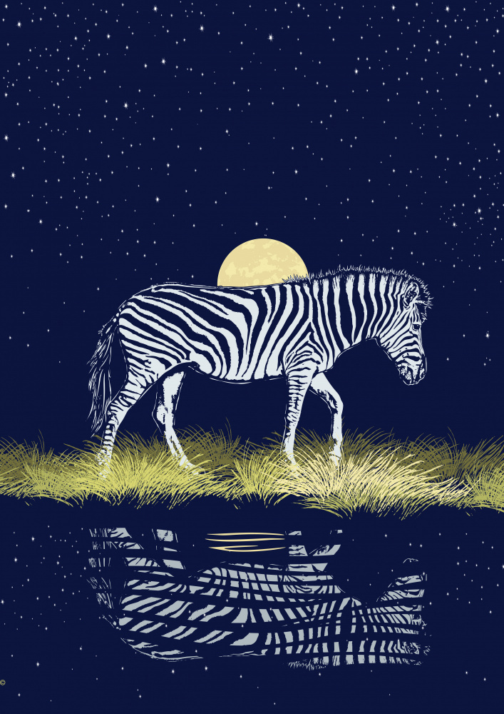 Zebra am Waterhole Moonrise von Carlo Kaminski