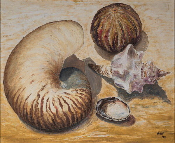Seashells von Carolyn  Hubbard-Ford