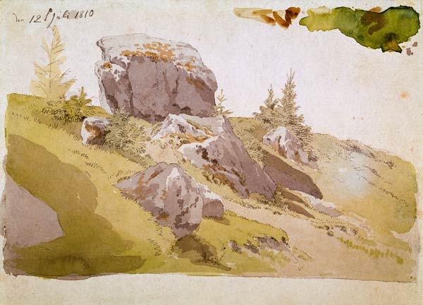 Wiesenstück Riesengebirge von Caspar David Friedrich