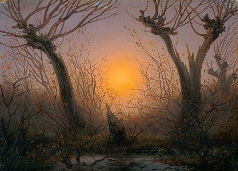 Waldlandschaft bei tiefstehender Sonne. von Caspar David Friedrich