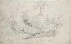 Boulders in Woodland 1800 cil o
