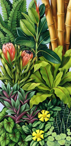 Foliage III, 2005 (oil on canvas)  von Catherine  Abel