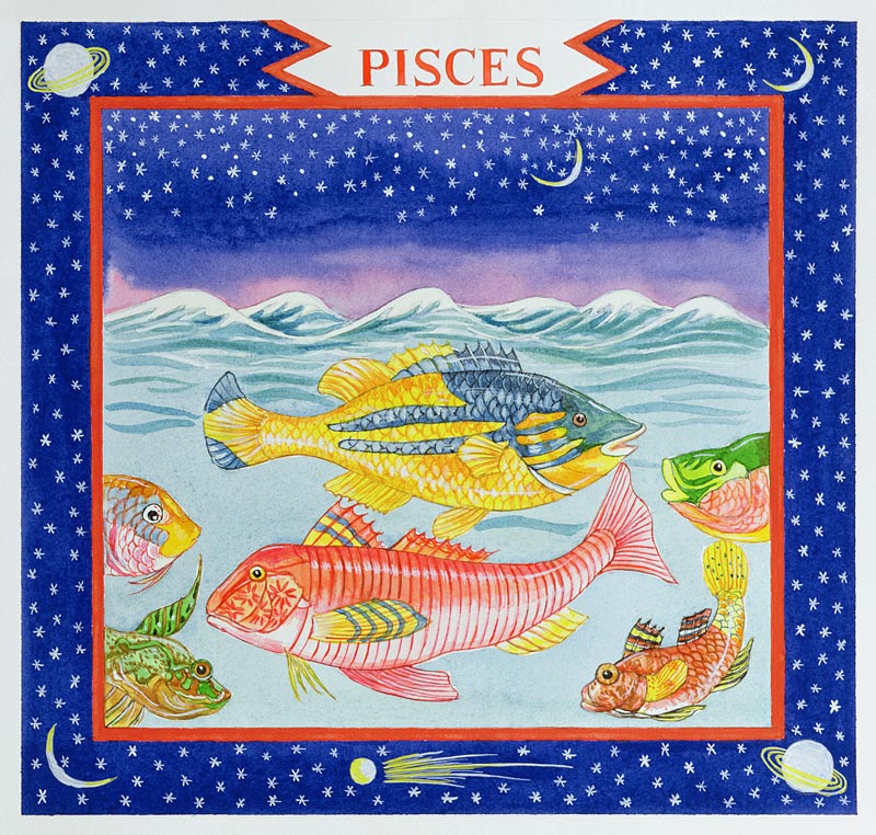 Pisces (w/c on paper)  von Catherine  Bradbury