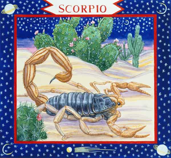 Scorpio (w/c on paper)  von Catherine  Bradbury