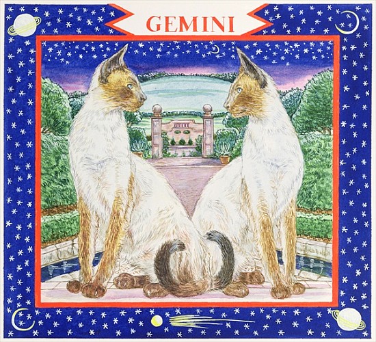 Gemini (w/c on paper)  von Catherine  Bradbury