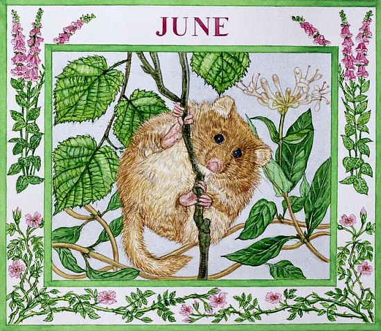 June (w/c on paper)  von Catherine  Bradbury