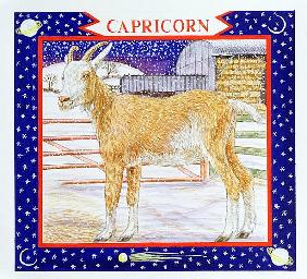 Capricorn (w/c on paper) 