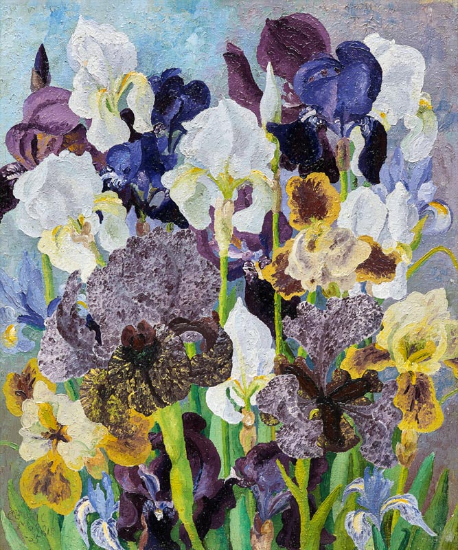May Flowering Irises von Cedric Morris
