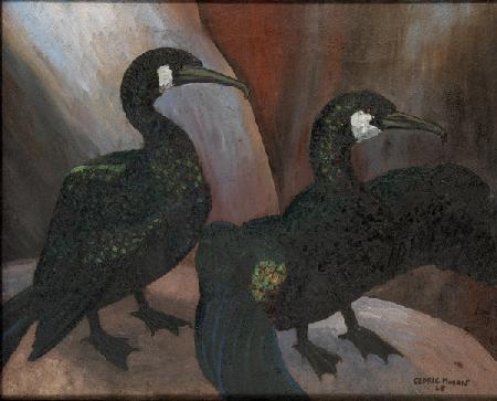 Green Cormorants 1925