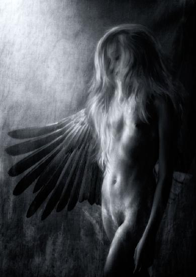 Entfesseln Sie Ihre Flügel,entfesseln Sie Ihre Seele ...