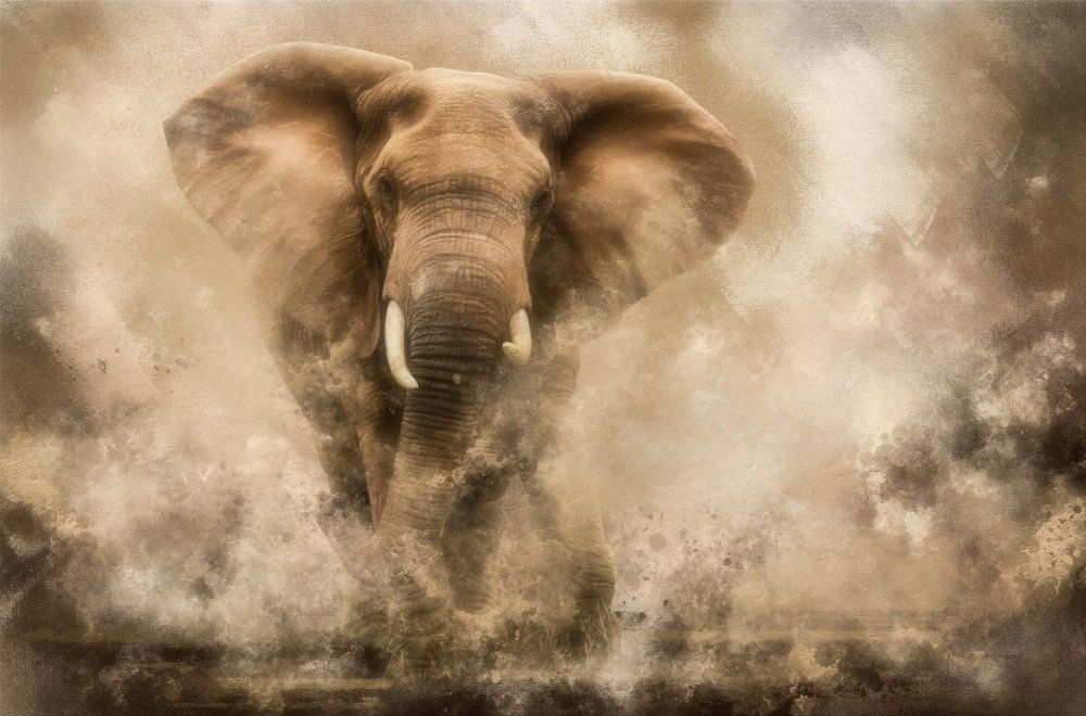 „...Wütender Elefantenbulle stürmt …“ von Charlaine Gerber