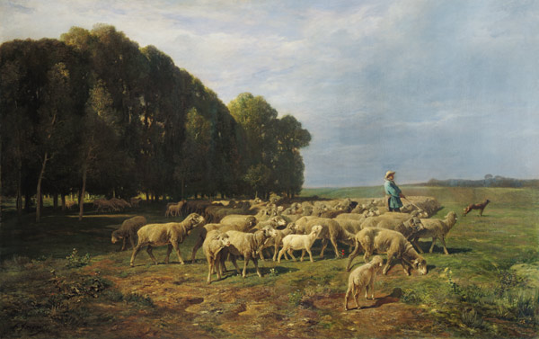 Flock of Sheep in a Landscape von Charles Emile Jacques