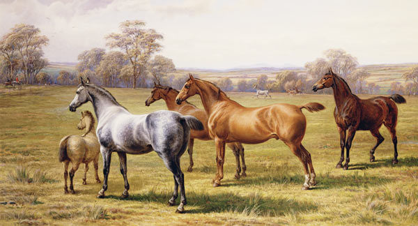 Horses and Foal in a Field von Charles Jones