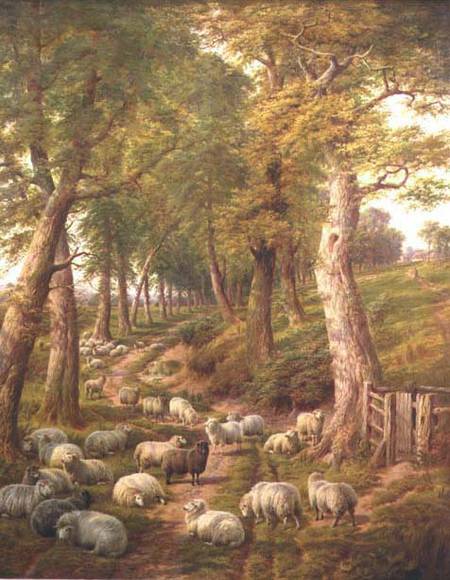 Landscape with Sheep von Charles Jones