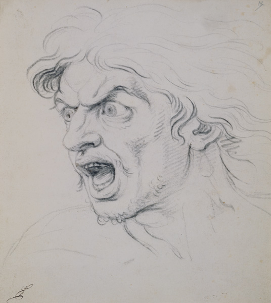 The head of a man screaming in terror, a study for the figure of Darius in 'The Battle of Arbela' von Charles Le Brun