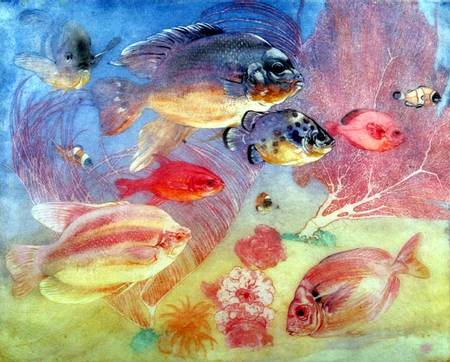 Tropical Fish von Charles Maurice Detmold