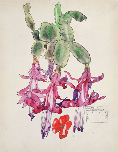 Cactus Flower von Charles Rennie Mackintosh