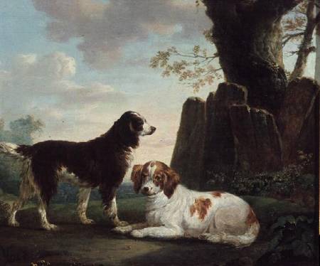 Two spaniels in a landscape von Charles Towne