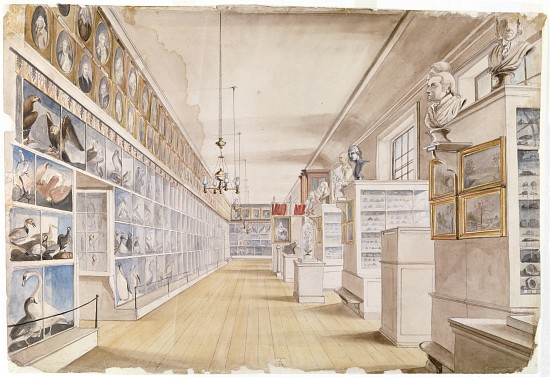 The Long Room, Interior of Front Room in Peale's Museum von Charles Willson Peale