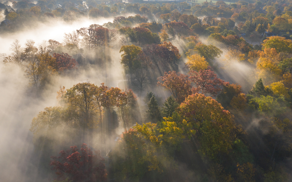 Farbe des Herbstes von Cheng Chang