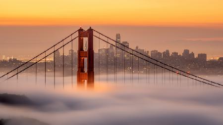 Karl,der Nebel von San Francisco