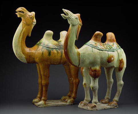 Two camels, Tang Dynasty (618-907) (glazed earthenware) von Chinese School