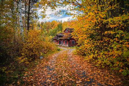 Alte Mühle,umgeben von Herbstfarben