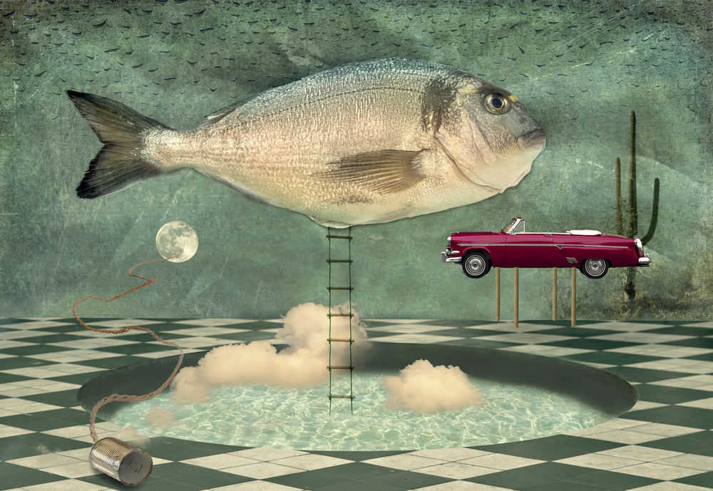Der Fisch denkt nicht,weil der Fisch alles weiß (Axel,in Arizona Dream) von Christian MARCEL