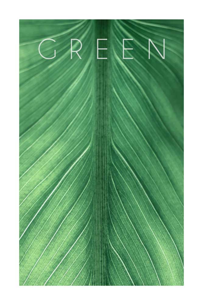 Green 03 von Christian Müringer