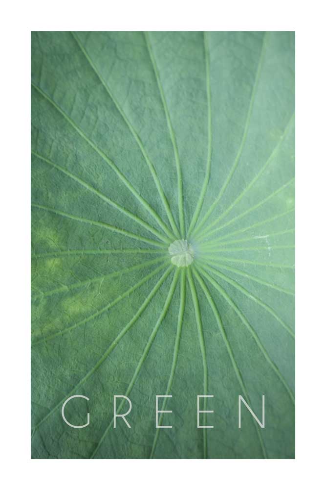 Green 04 von Christian Müringer
